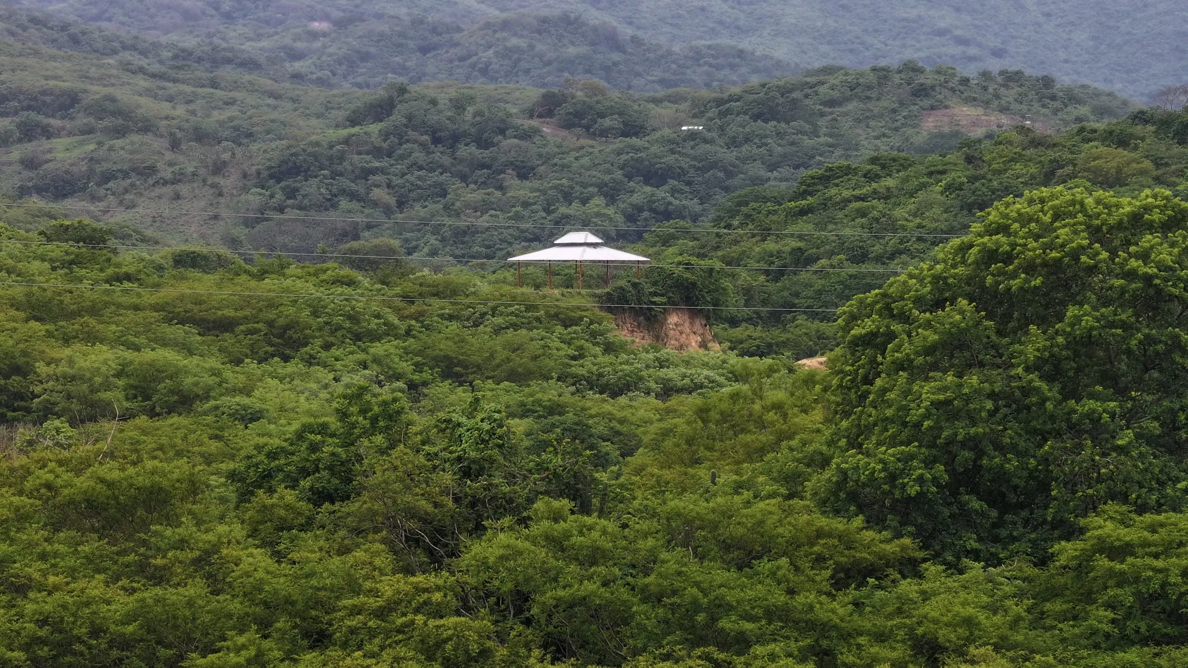 Low tropical forest covering the hills, with a palapa-roofed shelter among the trees